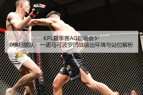 KPL夏季赛AG超玩会3-0横扫狼队：一诺马可波罗团战输出环境与站位解析