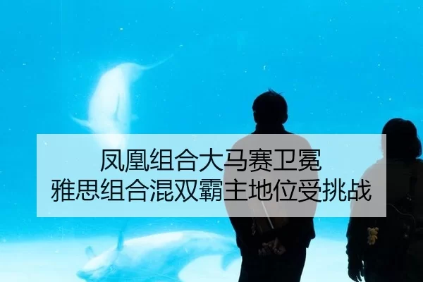 feng-huang-zu-he-da-ma-sai-wei-mian-ya-si-zu-he-hun-shuang-ba-zhu-di-wei-shou-tiao-zhan-3-630.jpg